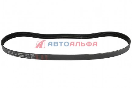 126.111 Ремень генератора 8РК1445 КАМАЗ дв. Cummins 6ISBe 3288790 - BOVIA - 400х267