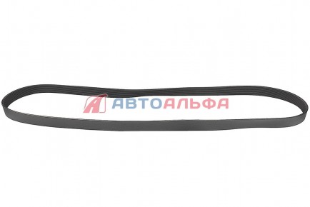 126.113 Ремень 8РК1760 дв. Cummins 6ISBe 3926856, 3289257 (привод навесных агрегатов) - BOVIA - 400х267