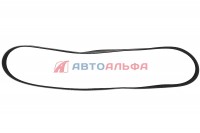 126.113 Ремень 8РК1760 дв. Cummins 6ISBe 3926856, 3289257 (привод навесных агрегатов) - BOVIA - 200х133