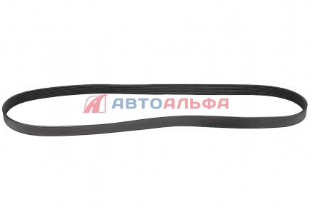 126.134 Ремень генератора 8РК1675 дв. Cummins QSB, КАМАЗ 5490, MERCEDES - BOVIA - 400х267