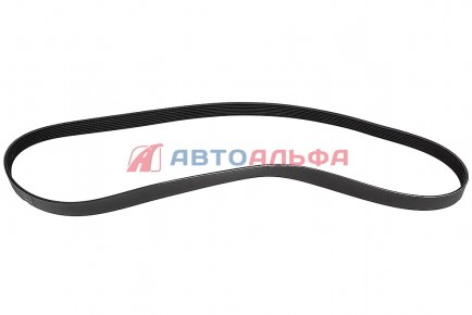 126.135 Ремень генератора 8РК1725 дв. Cummins 3289179 - BOVIA - 400х267