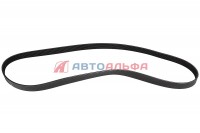 126.135 Ремень генератора 8РК1725 дв. Cummins 3289179 - BOVIA - 200х133